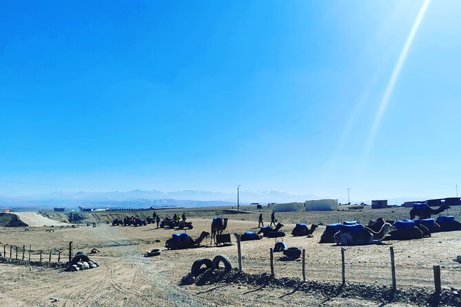 Quad Ride In The Agafay Desert - Sunset and Timing: Getting the Views Without Overplanning