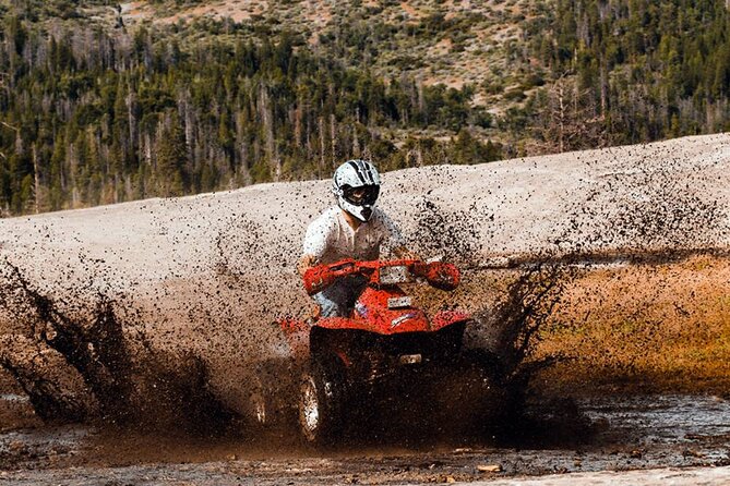 Quad Safari Experience in Alanya (Adventure Tour) w/ Free Hotel Transfer - Glasses and Bandannas: The On-Site Cost People Wish They’d Known