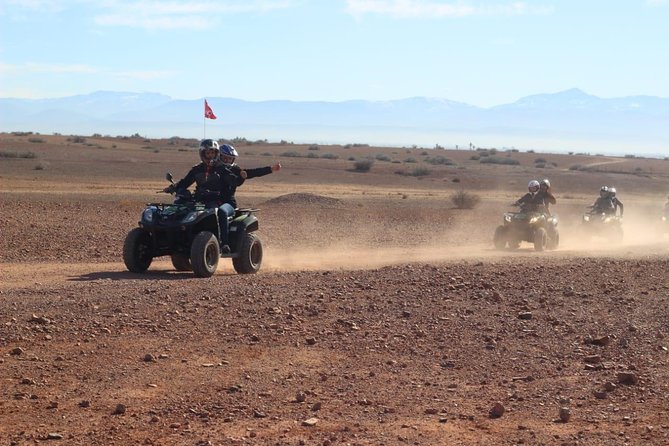 Quad tour in the palm grove desert - Oasis Photo Stop: Where the Palm Trees Steal the Show