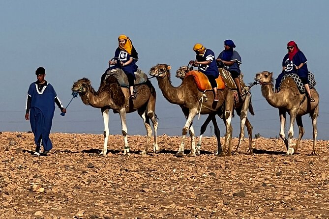 Quad tour to La Palmeraie de Marrakech - Who should book this quad tour (and who might skip it)