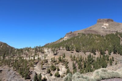Quad Tour to the Teide National Park (3.5H) - Teide National Park stop: views, roads, and practical timing