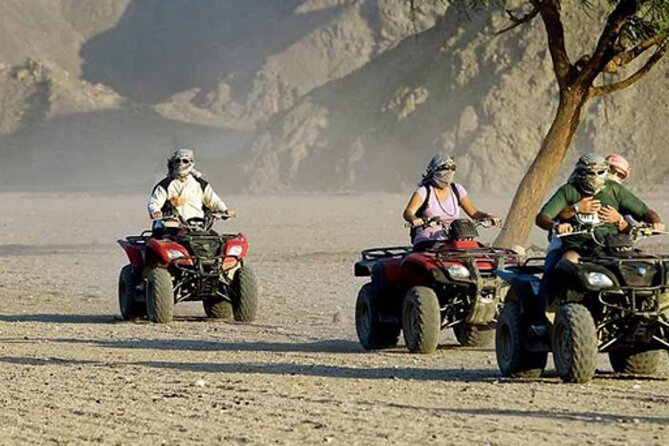 Quad with Camel Ride & Bedouin village From Marsa Alam - Key things that make this quad + Bedouin day work