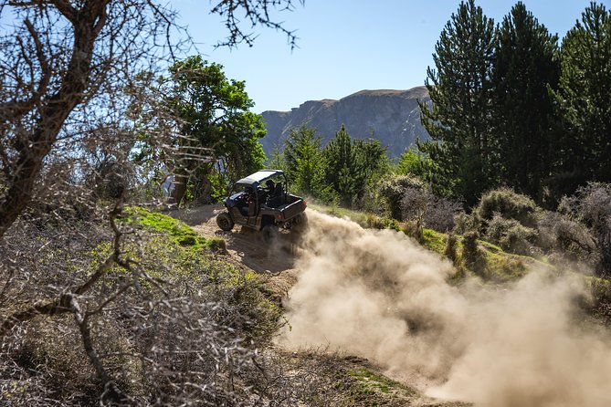 Queenstown Guided Self-Drive Buggy Tour - Who This Is Best For: First-Timers, Families, and Skill Mix