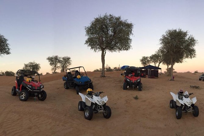 RAK Quad Bike Tour with Return Transfer - The Desert Quad Ride: What 25–30 Minutes Feels Like