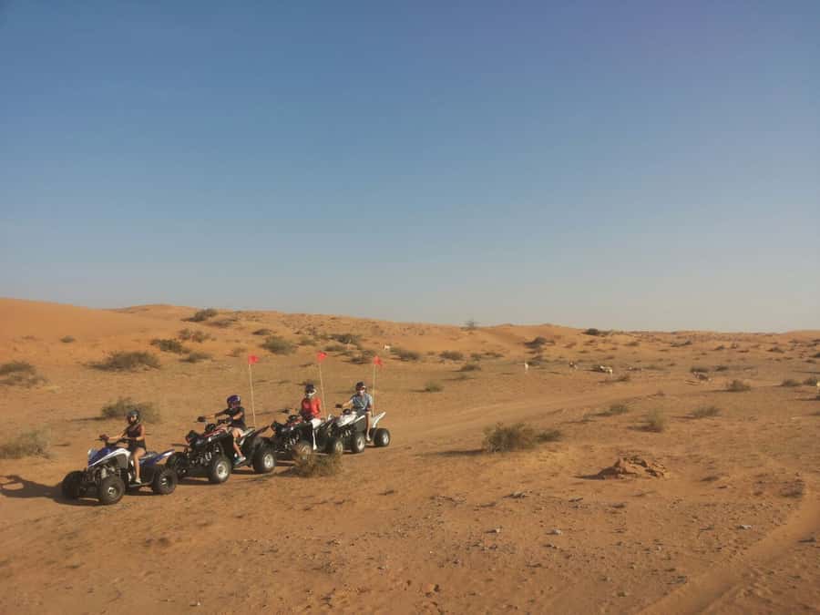 Ras Al Khaimah: Guided Quad Bike Tour - Bedouin Oasis time: sandboarding and camel rides (if you want them)