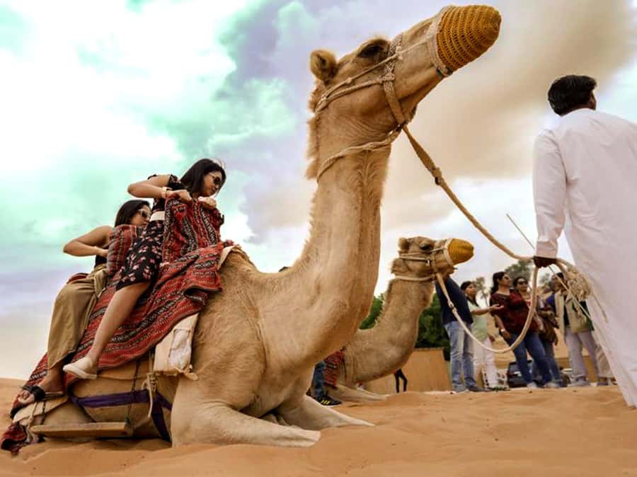 Ras Al Khaimah: Guided Quad Bike Tour - Price and value: is $68 a good deal for a desert quad?
