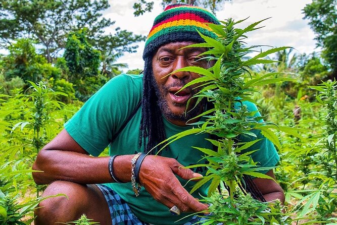 Rastafari Cultural ATV Community Experience from Montego Bay - Key things that make this ATV + Rastafari experience worth your time