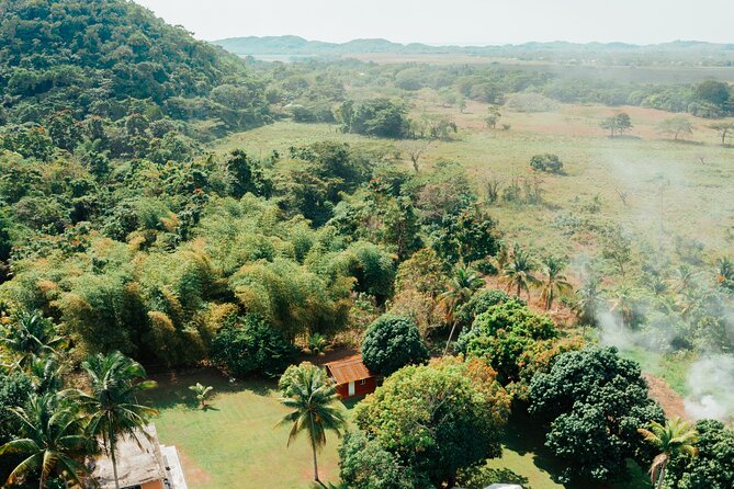 Rastafari Cultural ATV Community Experience from Montego Bay - Swimming in the natural mineral pool is the mid-ride reset