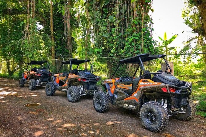 Rastafari Cultural ATV Community Experience from Negril - Key Things That Make This ATV Safari Worth Your Time