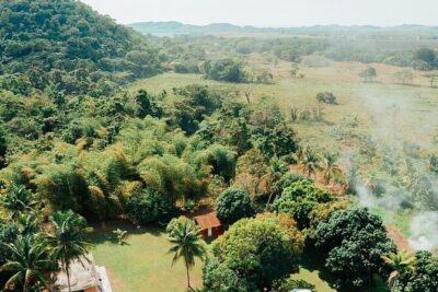 Rastafari Cultural ATV Community Experience from Negril - The Morning Rhythm: Welcome Drink, Short Walk, Tutorial, Then Off-Road