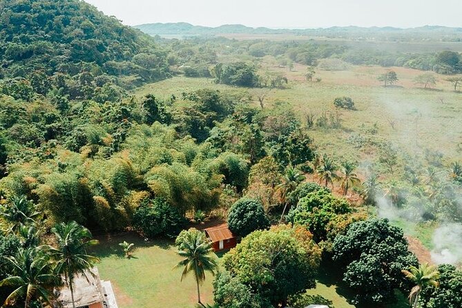 Rastafari Cultural ATV Community Experience from Negril - The Morning Rhythm: Welcome Drink, Short Walk, Tutorial, Then Off-Road