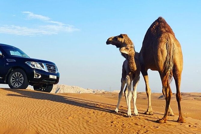Red Dune Desert Safari with Dinner Quad Bike and Camel Ride - Dune Bashing at Lahbab: The 35–40 Minute Thrill