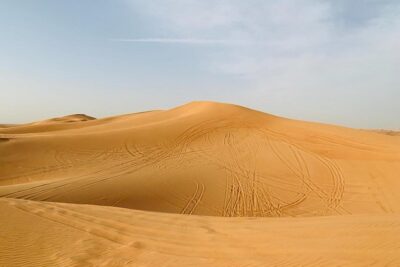 Red Dunes Safari By Quad Bike, Sandboarding, Camel Ride & BBQ Dinner - Timing and Pickup: What Your Afternoon Turns Into