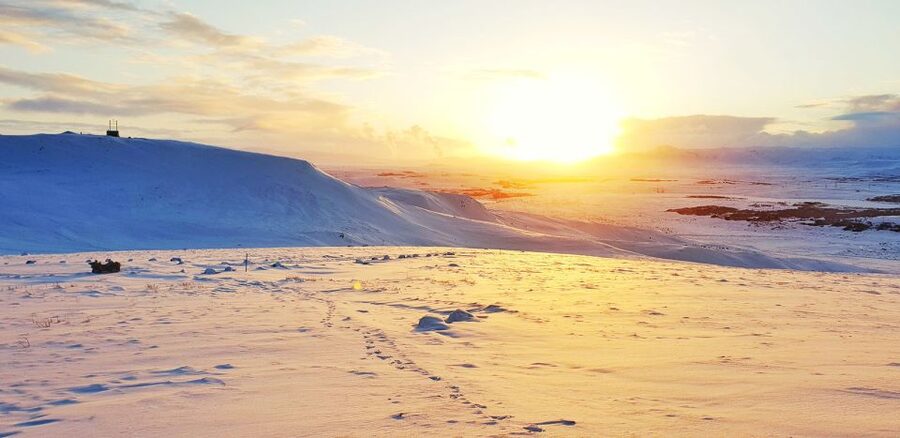 Reykjavik: Buggy Safari Tour with Hotel Transfers - Key Points That Make This Buggy Safari Worth Your Time