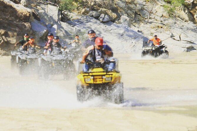 Ride through Bajas wild beauty—from desert trails to ocean views. - Key highlights to look forward to