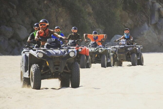 Ride through Bajas wild beauty—from desert trails to ocean views. - Pickup Timing and What Your Day Plan Should Assume