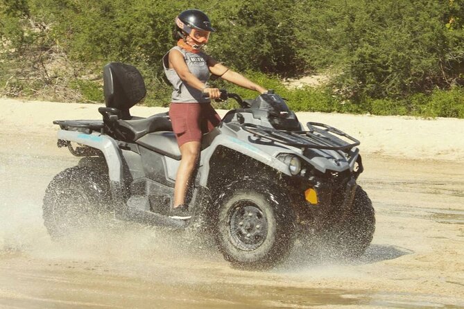 Ride through Bajas wild beauty—from desert trails to ocean views. - The Desert Trail in Between: Dust, Washboard, and Why It’s Still Fun