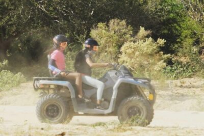 Ride through Bajas wild beauty—from desert trails to ocean views. - Playa Migriño: Whales in Winter and a Sunset That’s Actually Worth It