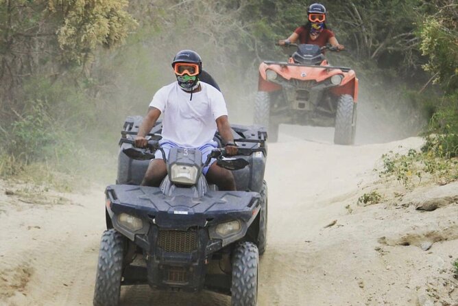 Ride through Bajas wild beauty—from desert trails to ocean views. - Who This ATV Ride Is Best For (and Who Might Skip It)