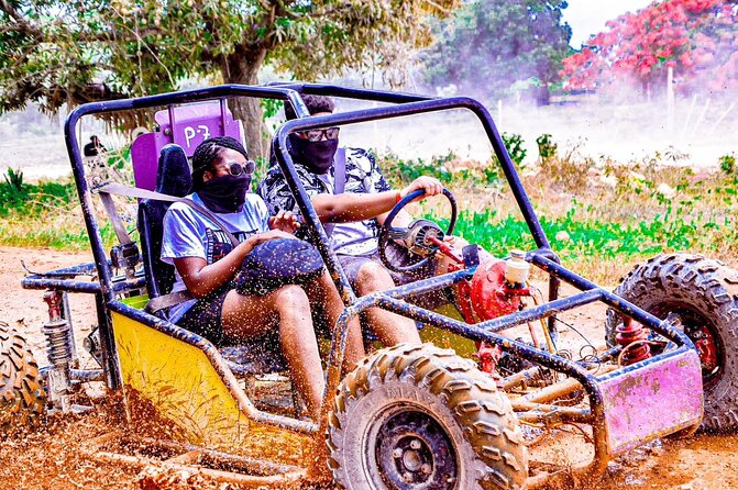 Road Off Half Day Buggy with Chocolate and Coffee Tasting - Key highlights you’ll actually care about