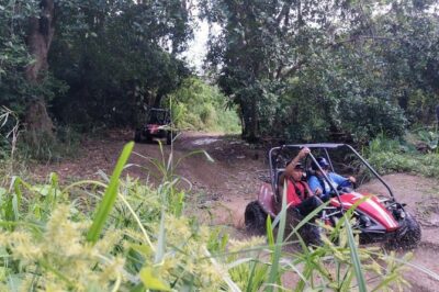 Roatan Eco Dune Buggy Sloths Safari Beach Adventure - Sloths and the Secret Well: animal time with a cultural stop