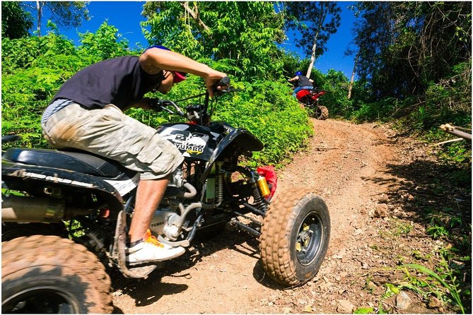 Roatán Shore Excursions: Sloth ATV/Buggy Thrill & Beach(1Beer/pp) - Quick Hits