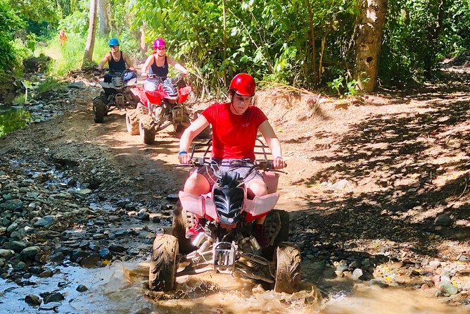 Roatán Shore Excursions: Wildlife + ATV/Buggy & Beach(1Beer/pp) - Who This Tour Suits Best (And Who Might Want a Different Style)