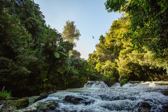 Rotorua Off-Road 4WD Buggy Adventure - Wildlife and Birds: Spotting Nature Without Promises