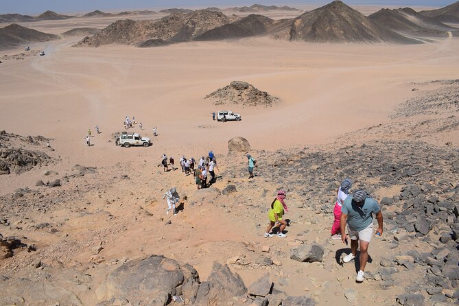 Safari ATV, Buggy, Camel, Bedouin Dinner and Hurghada Show - Camel Ride: The Calm After the Speed