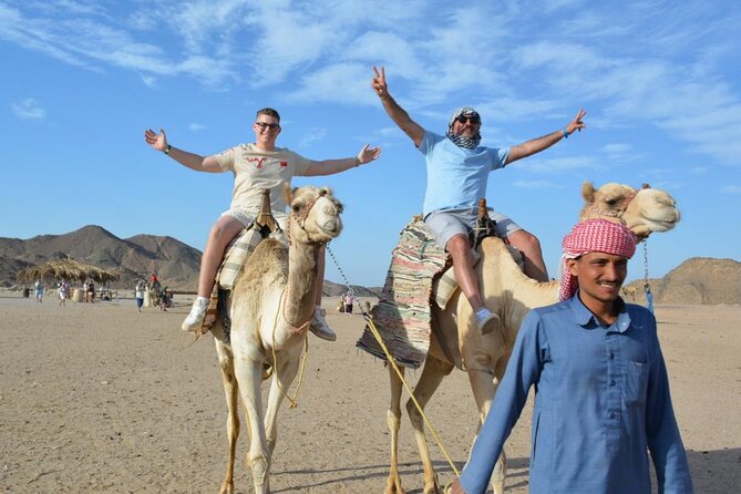 Safari ATV, Buggy, Camel, Bedouin Dinner and Hurghada Show - Price and Value: Is It Worth $47.62?