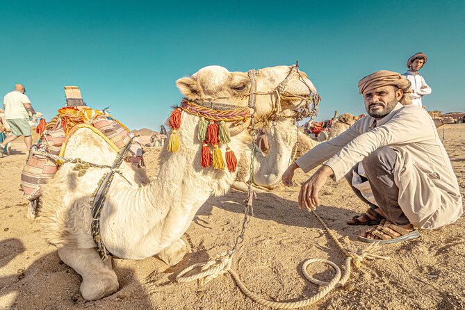 Safari Full Day ATV Quad, Buggy, Jeep, Camel in Egypt - Hurghada - ATV quad and buggy dunes: the adrenaline block