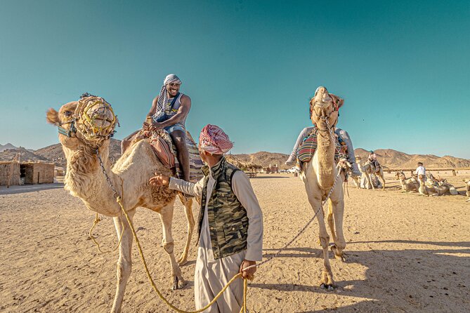 Safari Full Day ATV Quad, Buggy, Jeep, Camel in Egypt - Hurghada - Safari camp dinner and Egyptian show: the evening payoff