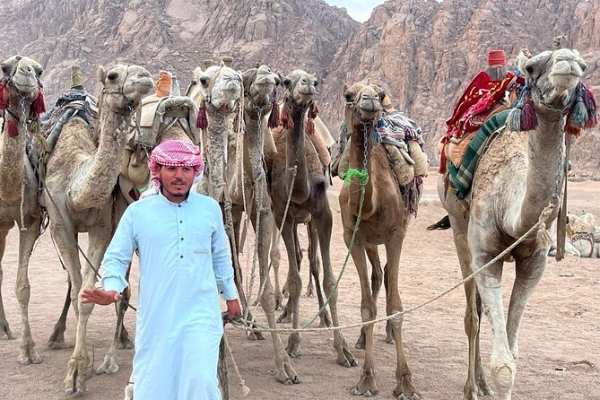 Safari Quad Bike Adventure, Camel, Show, Dinner & Stargazing - Quad biking on the sands: what to expect and how to ride smart