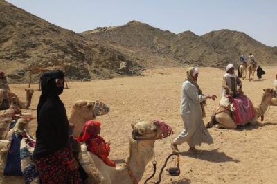 Safari quad, jeep, camel ride, show and dinner Hurghada - Quad vs Buggy: Choose the Pace You Want