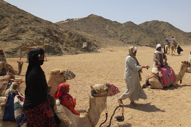 Safari quad, jeep, camel ride, show and dinner Hurghada - Quad vs Buggy: Choose the Pace You Want