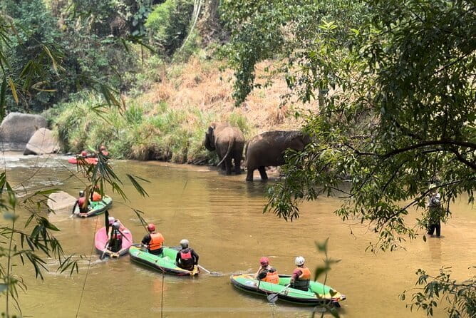 Safety whitewater rafting in Chiangmai by Khampan Rafting - Your 5-Hour Flow: Pickup, Float Time, Lunch, and Getting Back