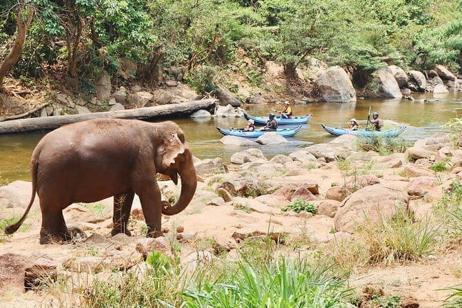 Safety whitewater rafting in Chiangmai by Khampan Rafting - Group Size (Max 20) and Comfort on the River