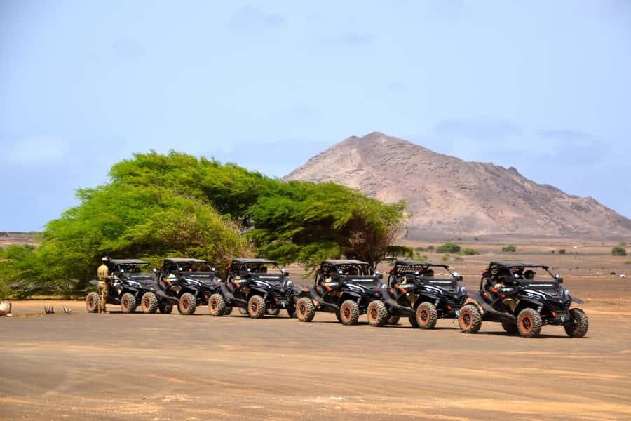 Sal Island: 4-Hour Buggy Island Tour - Price and Value: Is $305 Per Person Worth It?