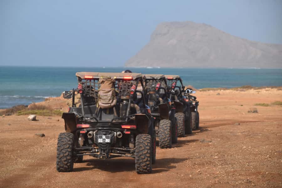 Sal Island: 4-Hour Buggy Island Tour - Shark Bay and Serra Negra: Seeing Lemon Sharks Where They Live