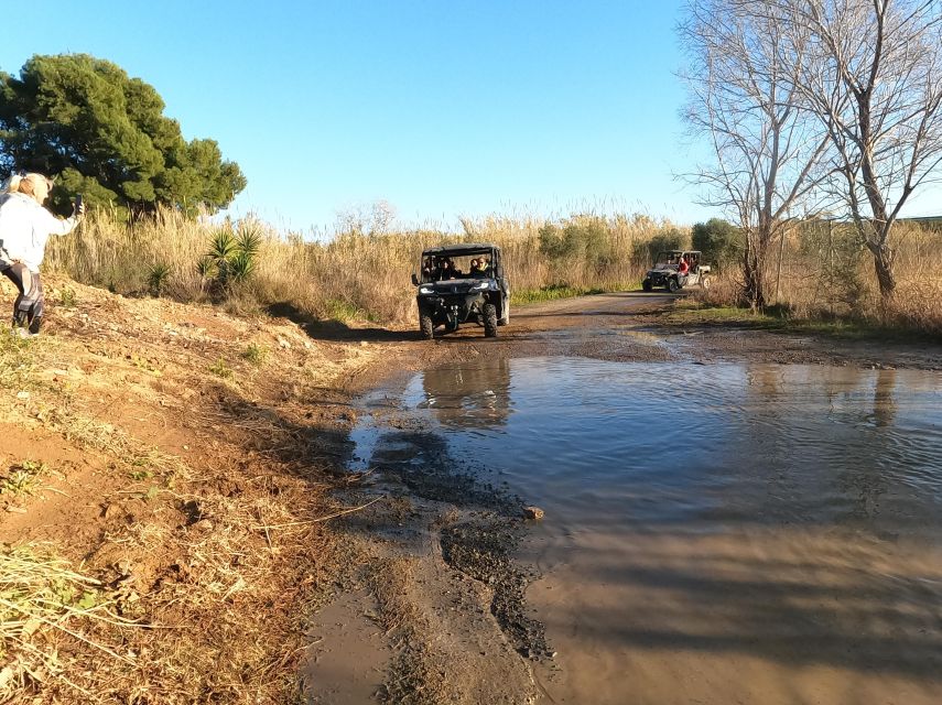 Salou: Buggy Safari with Hotel Transfer - What the Ride Feels Like: Dust, Bumps, and a Fun Pace