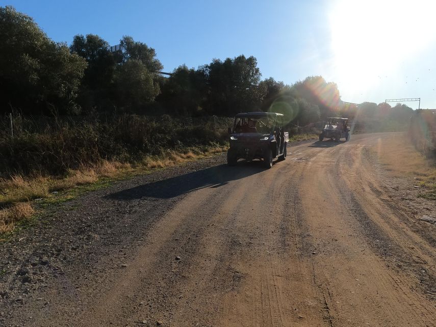 Salou: Kid's Buggy Driving Experience in Safe Environment - Key highlights to know before you go