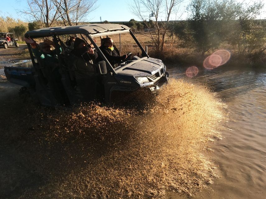 Salou: Kid's Buggy Driving Experience in Safe Environment - Why a Salou Kids Buggy Circuit Works Better Than You’d Expect