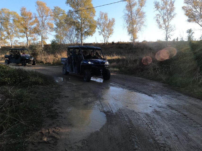 Salou: Kid's Buggy Driving Experience in Safe Environment - Price and Value: When $71 Feels Right (and When It Doesn’t)