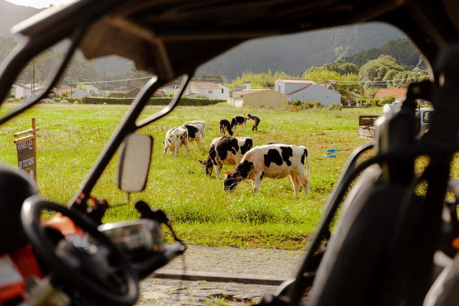 Sao Miguel: Buggy Tour Around Sete Cidades Volcano - Your Break at Sete Cidades Village: Coffee, Restrooms, and Reset
