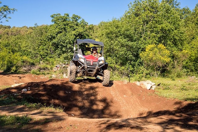 Self-drive Off Road Buggy - Key Points That Matter Before You Go