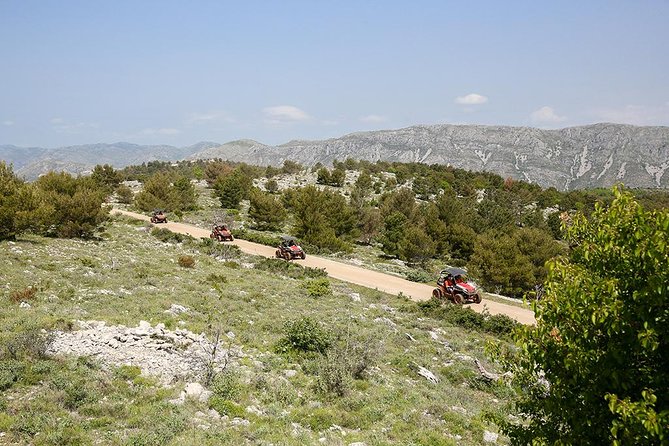 Self-drive Off Road Buggy - Where You’ll Drive: Dirt Tracks and Pine Forest Roads