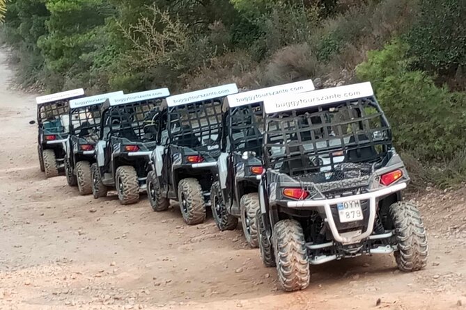 Self-Driving Off-Road Buggy Tour with Experienced Guide - Marathonisi from Above: A Quick Photo Stop That Works