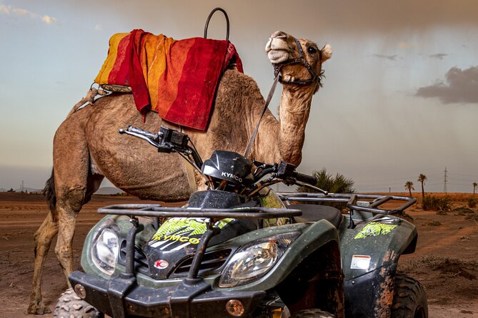 Sensational quad and camel ride in the palm grove - The tea break: panoramic views and a calmer Moroccan moment