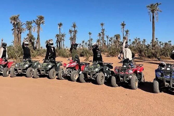 Sensational quad and camel ride in the palm grove - 20-minute camel ride: the right length for most people