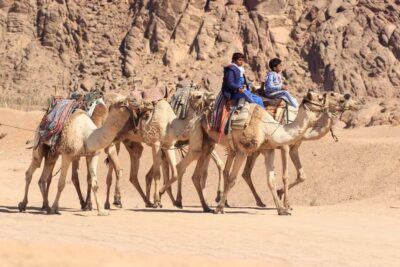 Sharm El-Sheikh: Morning Desert ATV Quad or Buggy Adventure - Guides and small extras: what to expect from the people running it